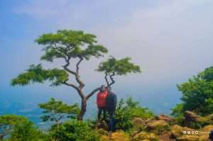 Nelliyampathy Hills, Palakkad, Kerala –  A place to know the forest and nature