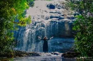 Places to visit in Idukki – Anayadikuthu waterfalls, Thommankuthu