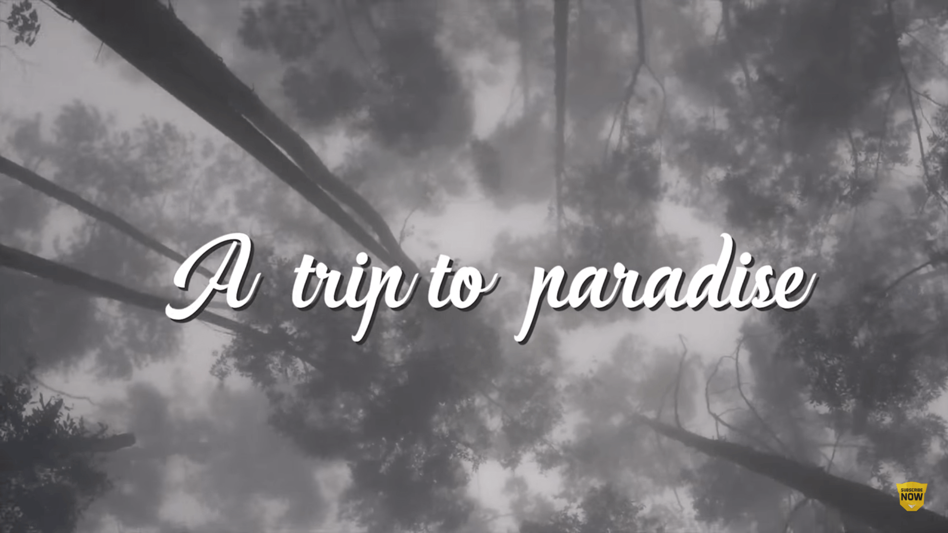 Vattakanal Kodaikanal – A trip to paradise Tripjodi Travel Video Part -2